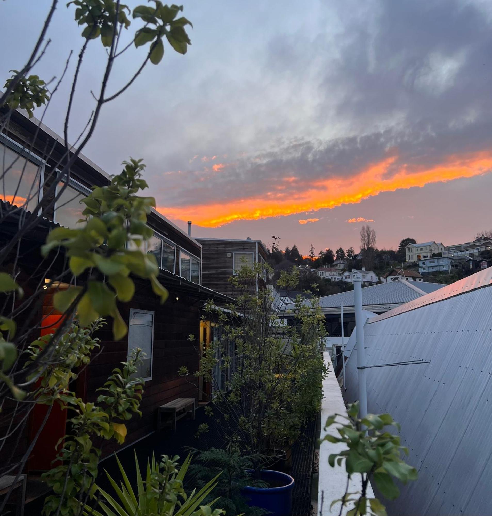 On Top Backpackers Dunedin Eksteriør billede